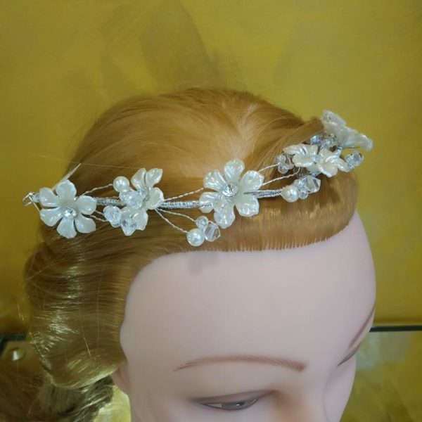 17354763_1328633377172931_21525358_n-1-1