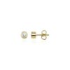(Eesti) Diamond Earrings