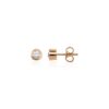 (Eesti) Diamond Earrings